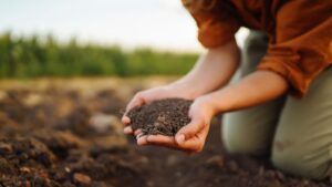Talajjavító anyagok és komposztálás menete